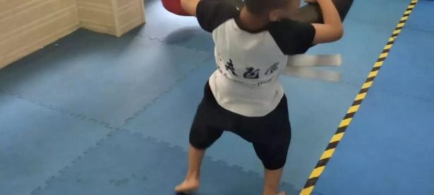 乐竞体育- 跆拳道夜战：岭北飞鹰队淘汰对手东海犀牛队，临门一脚致胜防线高度稳定