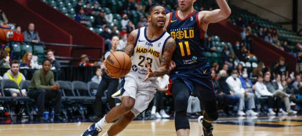 乐竞娱乐- 篮网教练那什 